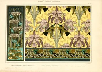 Art Nouveau-mönster med trollsländor, orkidéer och kolibrier (lito)