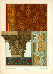 Ricinoljeväxten (färg litho)