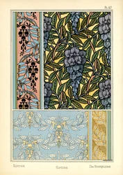 Glycinet (färg litho)