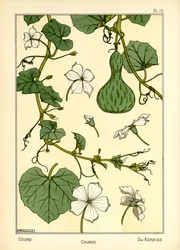 Pumpan (färg litho)