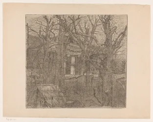 Träd runt ett hus Trädgård i Amsterdam (originaltitel)