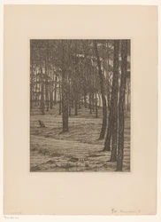 Dennenbosch I (originaltitel på objekt) Bos (originaltitel)