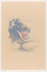 Skal