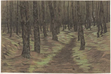 tallskog