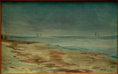 Havsstrand, brun och grå