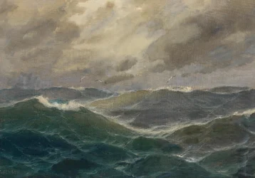 Stormigt hav