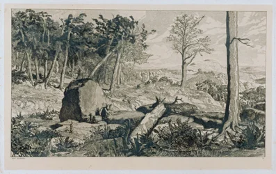 Bergslandskap