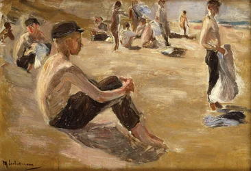 Badande pojkar (olja på pannå)