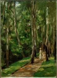 Birkenweg i Wannsee i väster