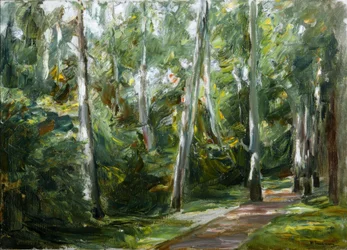 Björkallén i Wannsee-trädgården i sydväst
