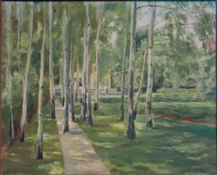 Björkallén i Wannsee-trädgården mot väster