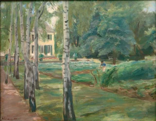Björkallén i Wannsee-trädgården i väster