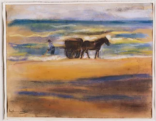 Skalsökare på stranden