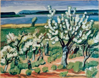 Trädblomning vid sjön