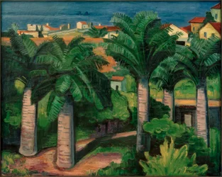 Palmer i Collioure