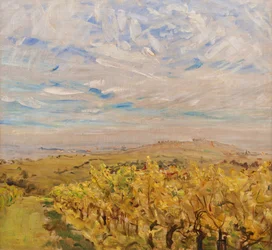 Tidig höst i Pfalz. Vingårdar nära Neukastel, 1927