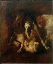 Hund som leker med katt