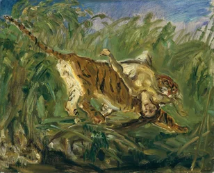 Tiger i djungeln