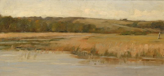 Berg och myrmark