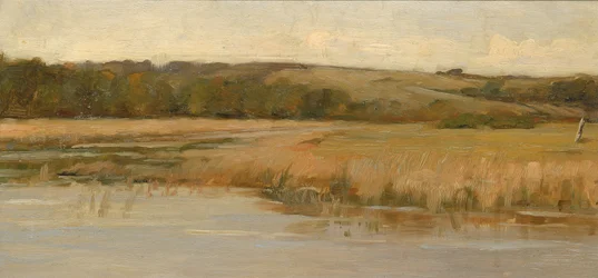 Hill and Marshland, sent 1800-tidigt 1900-tal.