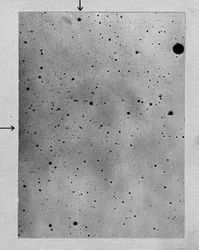 Lång exponering av stjärnfält som visar spår av asteroiden Sappho mot punkter av stjärnor, 1892