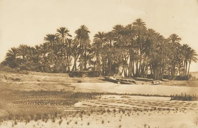 Utsikt över Elephantine Island, mitt emot Aswan, 1849-50.