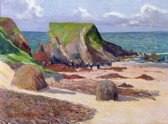 Skörd av tång, 1891