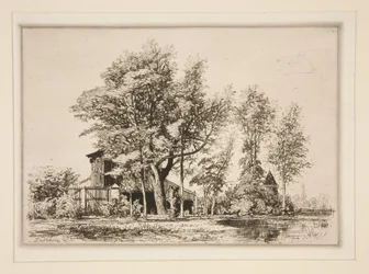 Akaciaträd