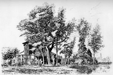 The Acacias, c1850-1895 1924