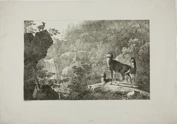 Hjorten och gemsarna