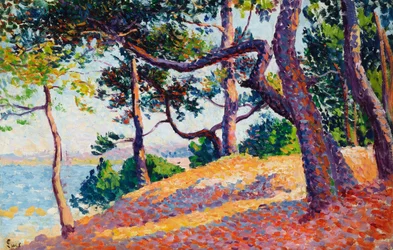 Landskap i Saint-Tropez, 1892
