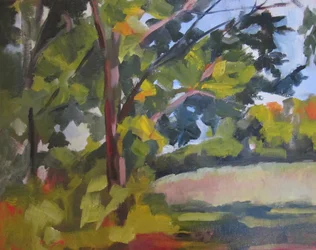 Grön skog i solsken