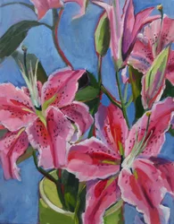 Ljusa rosa liljor