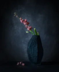 Mörk blomsterelegans