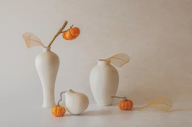 Elegant höststilleben