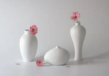 Fridfulla blomvaser