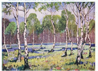 Spring Woodland (färg litho)