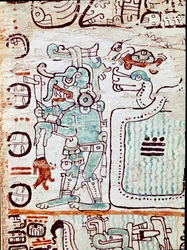Madrid codex eller codex tro cortesianus, behandlar horoskop och astrologiska tabeller, rapporter i Spanien av Hernan Cortes (1485-1547). Målade miniatyrer
