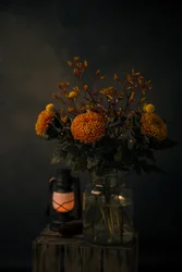 Höstblommornas glöd