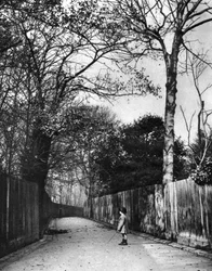 Hösttid i Holland Walk, London, 1926-1927.