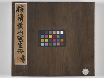 12 vyer av Huangshan (bläck på siden)