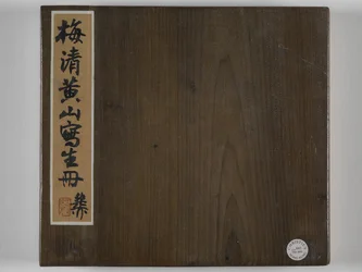 12 vyer av Huangshan (bläck på siden)