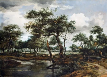 A Pond in the Forest, 1668 (olja på ekpanel)
