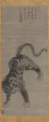 Tiger, tidigt 1700-tal.