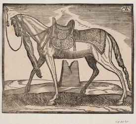 Elegant sadelhäst, bunden av v. ramlinje, profil till v.; under hästens mage ses en förstörd