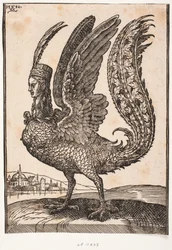 Oidentifierat mytiskt djur, harpy eller siren