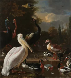 En pelikan och andra fåglar nära en vattenbassäng, känd som "The Floating Feather"