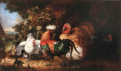 Franska: Oiseaux de basse-cour