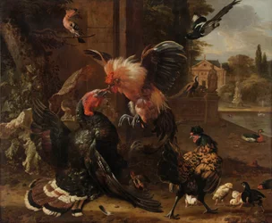 En tupp och en kalkon som slåss, ca 1680 (olja på duk)