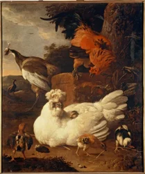M. de Hondecoeter, hönsmamma med kycklingar